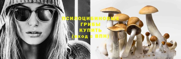 дурь Армянск