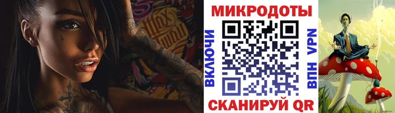 где можно купить   Чаплыгин  Псилоцибиновые грибы ЛСД 