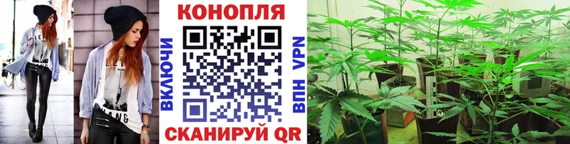 МАРИХУАНА AK-47  где купить наркоту  Чаплыгин 